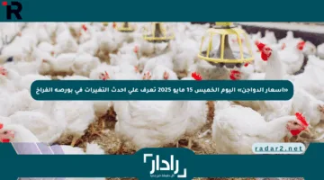 «أسعار الدواجن» اليوم الخميس 15 مايو 2025 تعرف على أحدث التغيرات في بورصة الفراخ